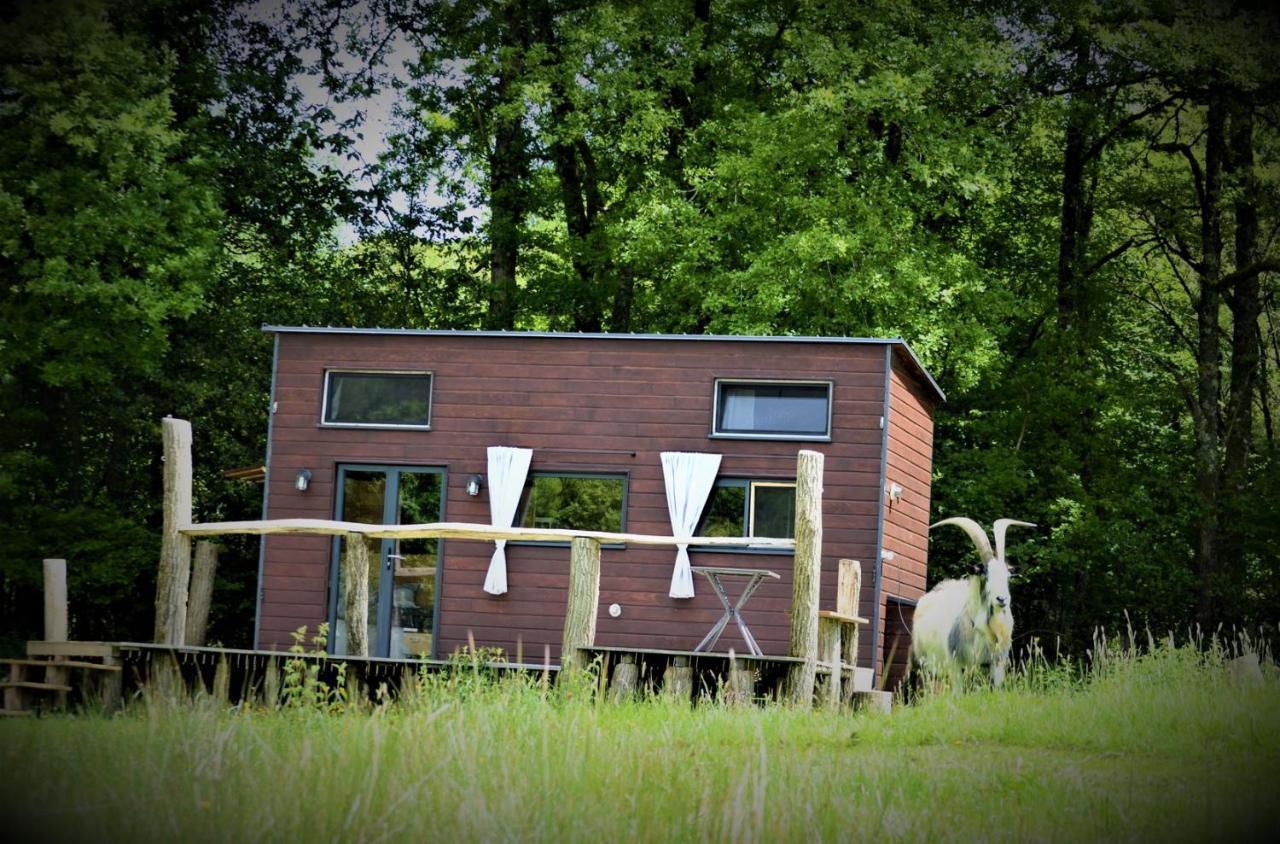 La Tiny House Terra Nostra Apartment Saint-Bazile Exterior photo